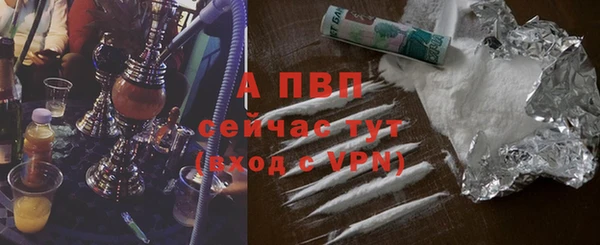 PSILOCYBIN Лабытнанги