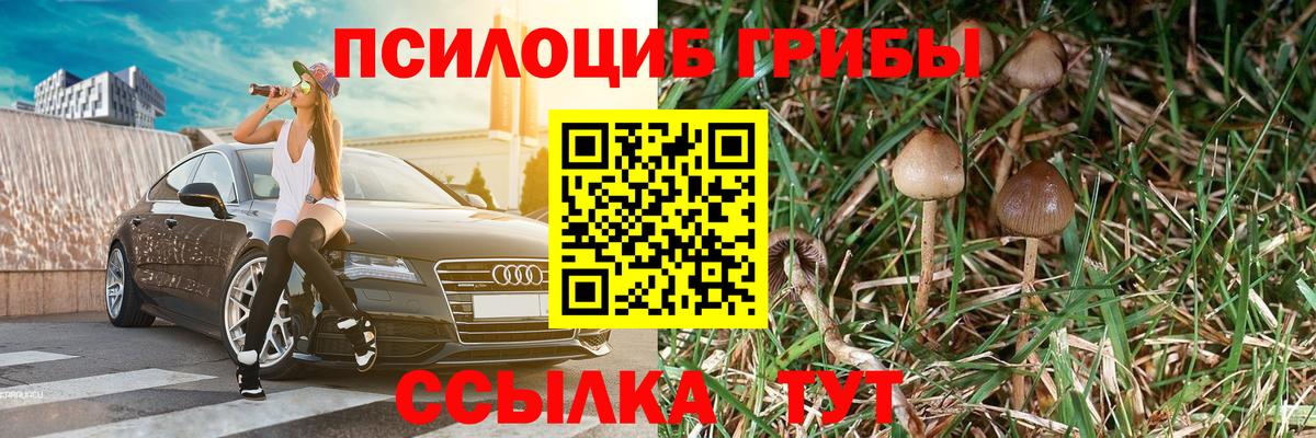 Псилоцибиновые грибы мухоморы  Дятьково 