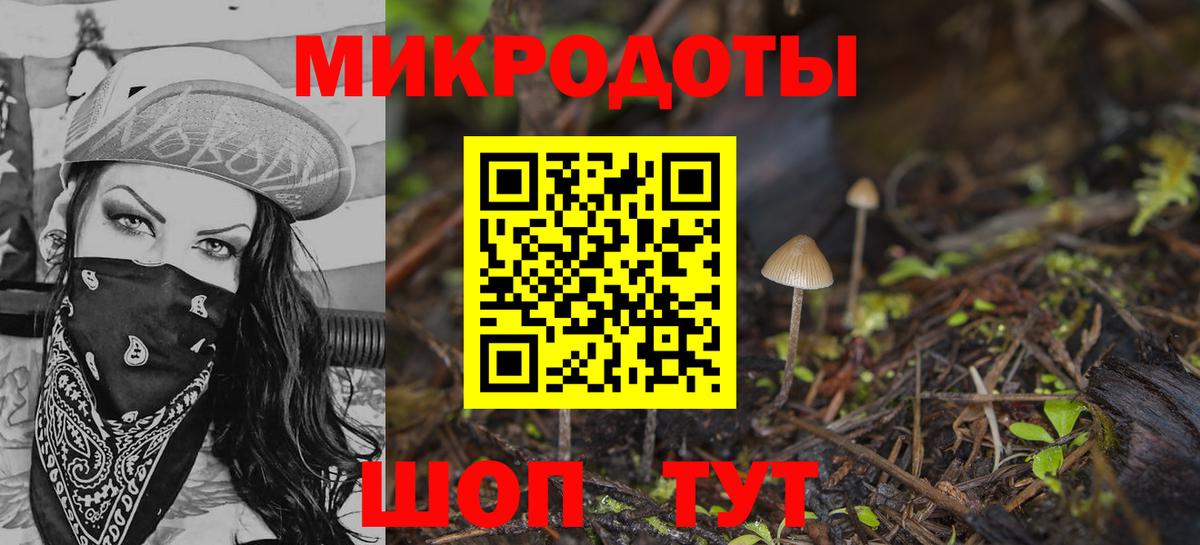 Псилоцибиновые грибы мухоморы Дятьково