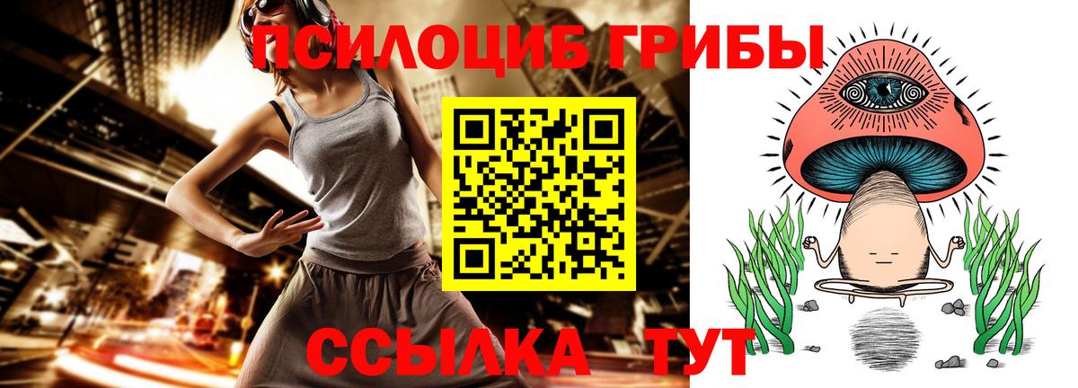 Псилоцибиновые грибы Psilocybe Дятьково