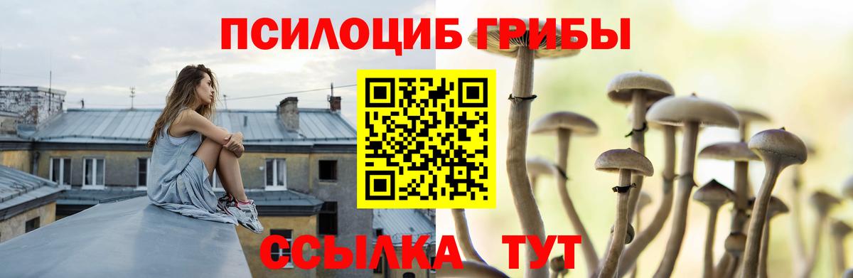 Псилоцибиновые грибы мицелий  Псилоцибиновые грибы GOLDEN TEACHER  Дятьково  Вход с VPN 